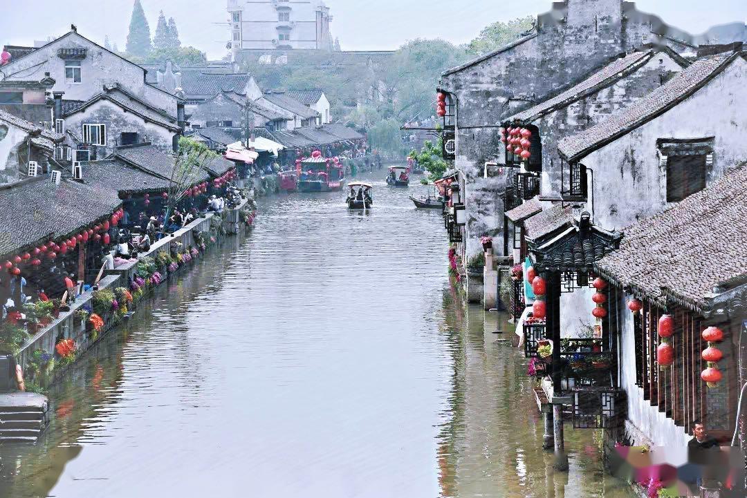 拯救可爱小怪